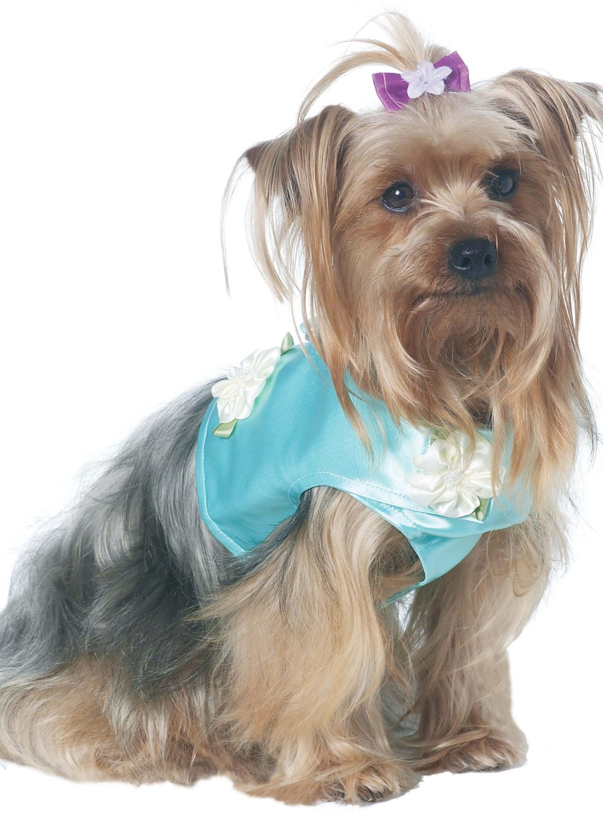 McCall's Sewing Pattern M6218 Pet Clothes