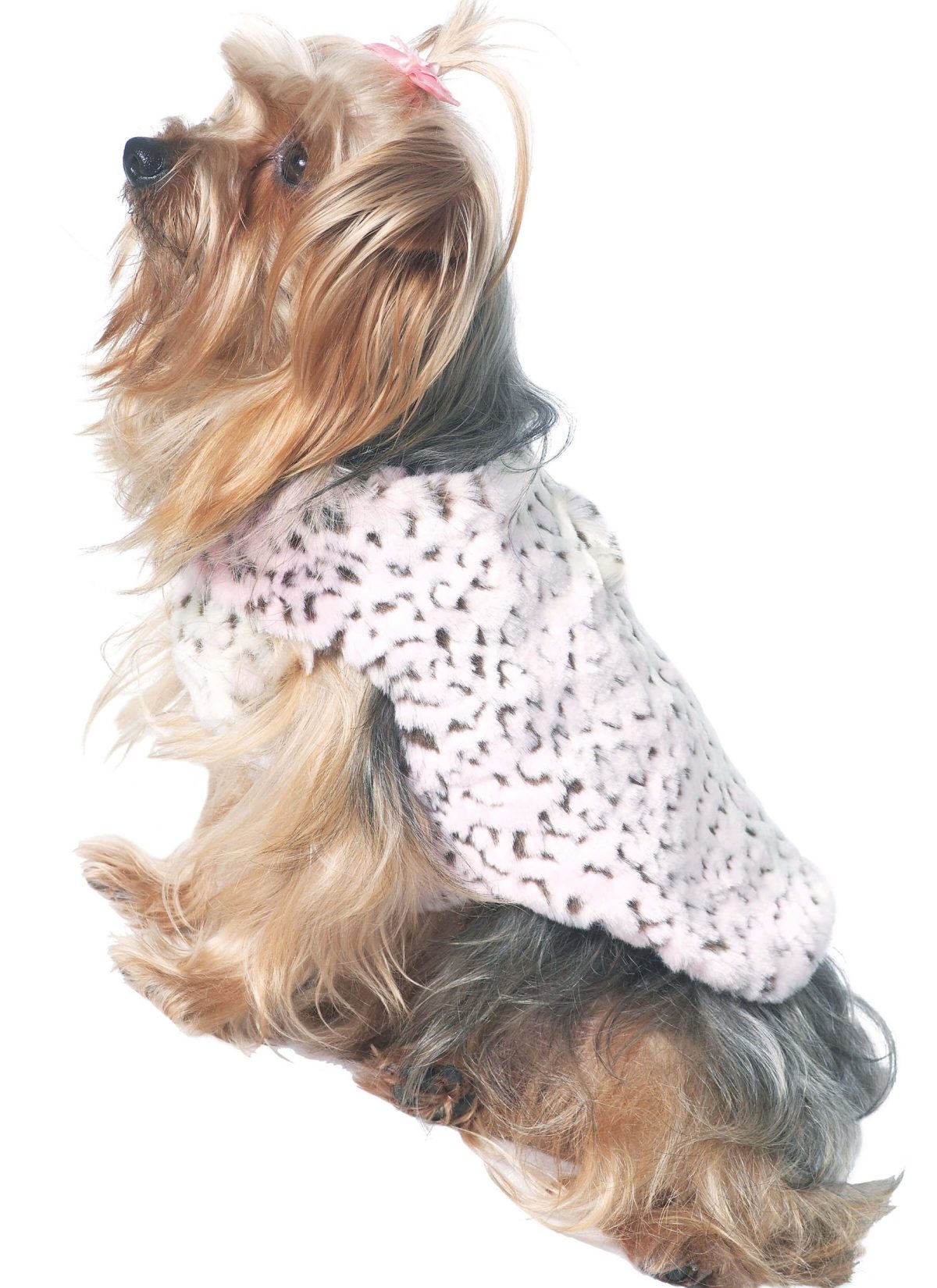 McCall's Sewing Pattern M6218 Pet Clothes