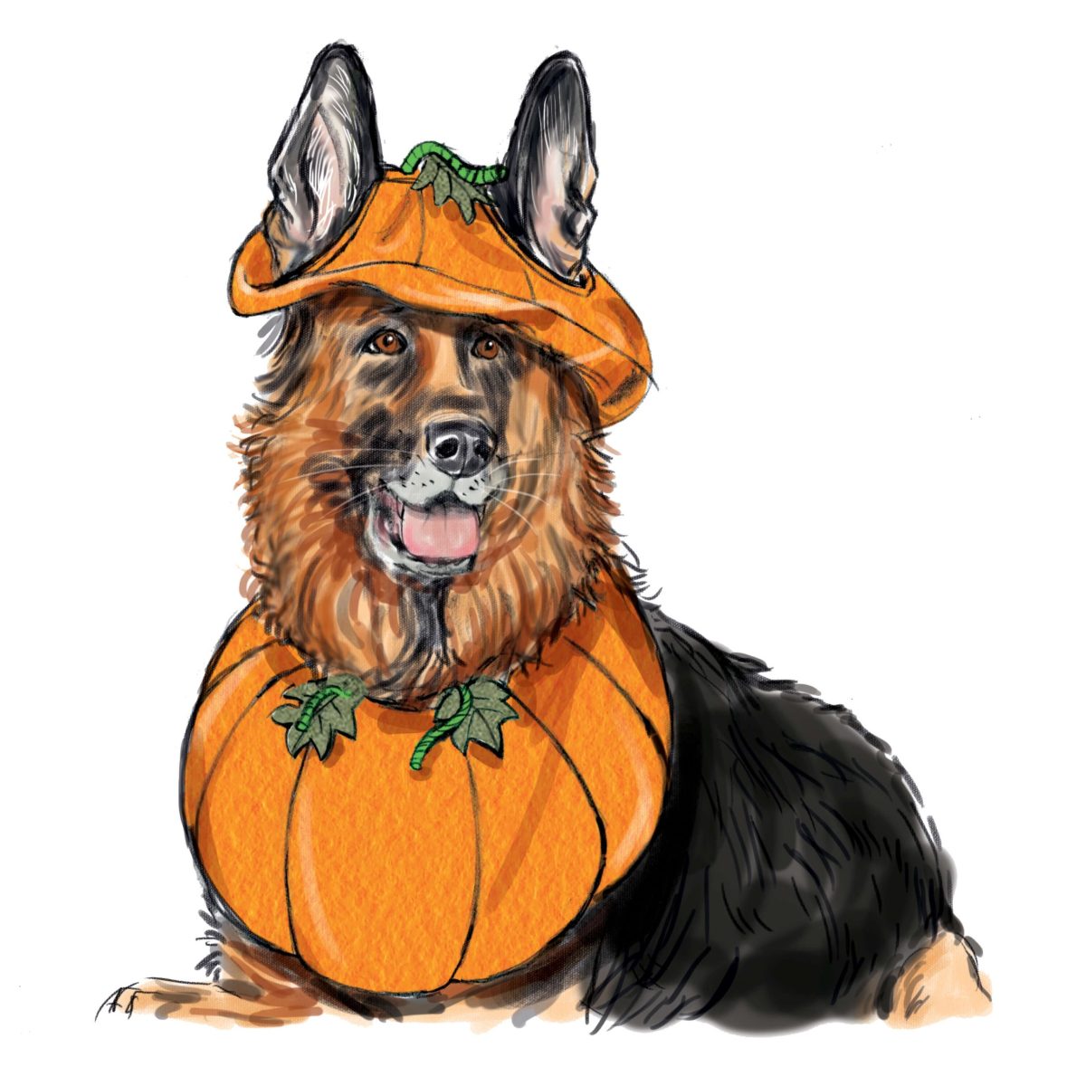 Simplicity Sewing Pattern S9497 Pet Accessories