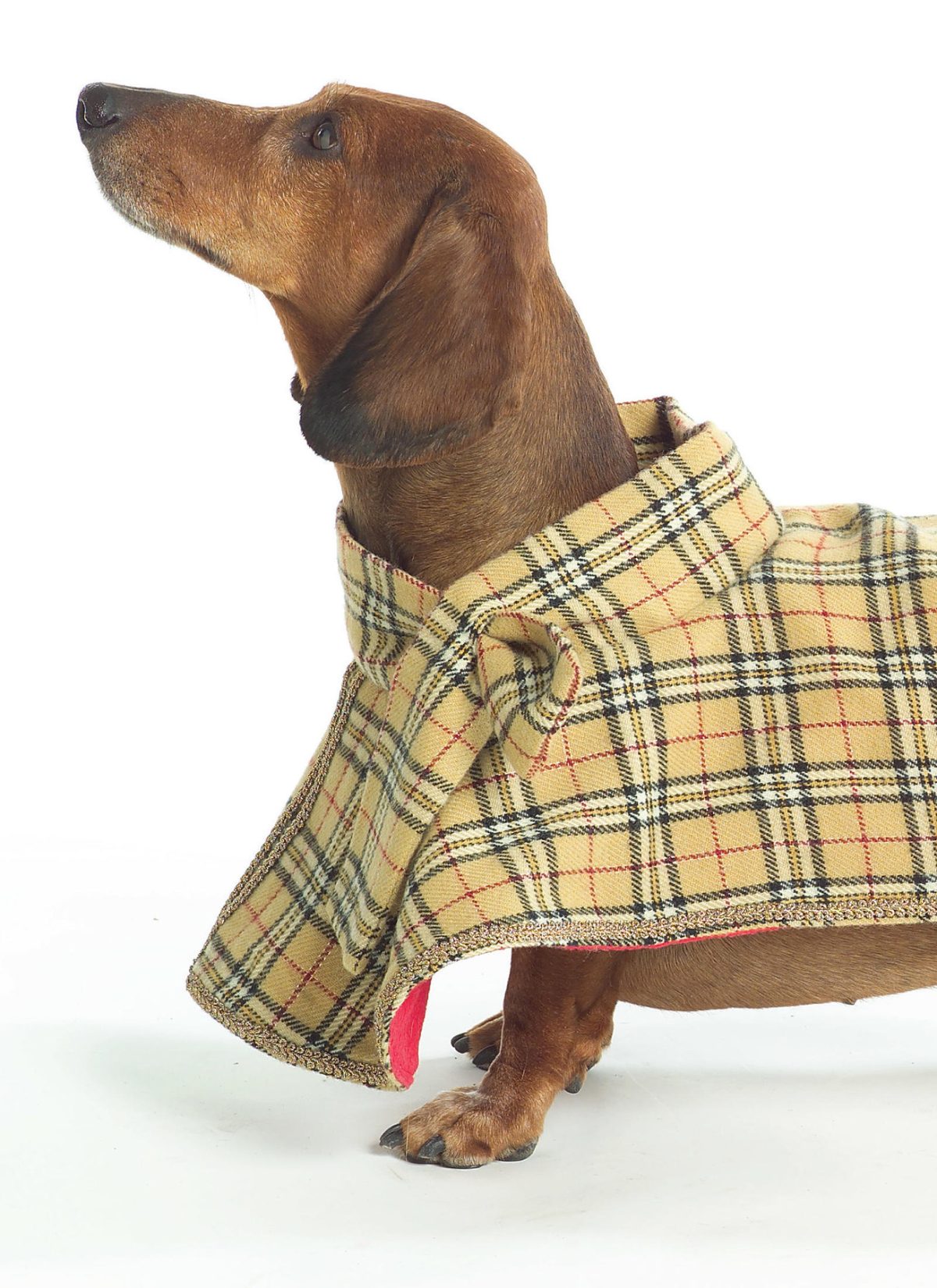 Butterick Sewing Pattern B4885 Dog Coats in Four Styles
